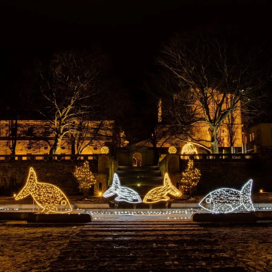 LEDRL30W-LEDRL100W-2.jpeg