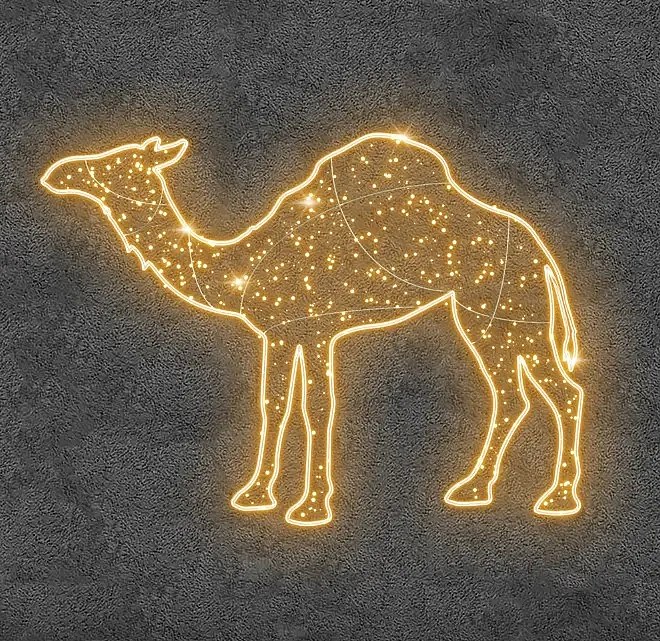 2D LED světelný Velbloud, 240 x 175 cm, teple bílá, 36 V, 26,2 W, z 5 dílů, stojící
