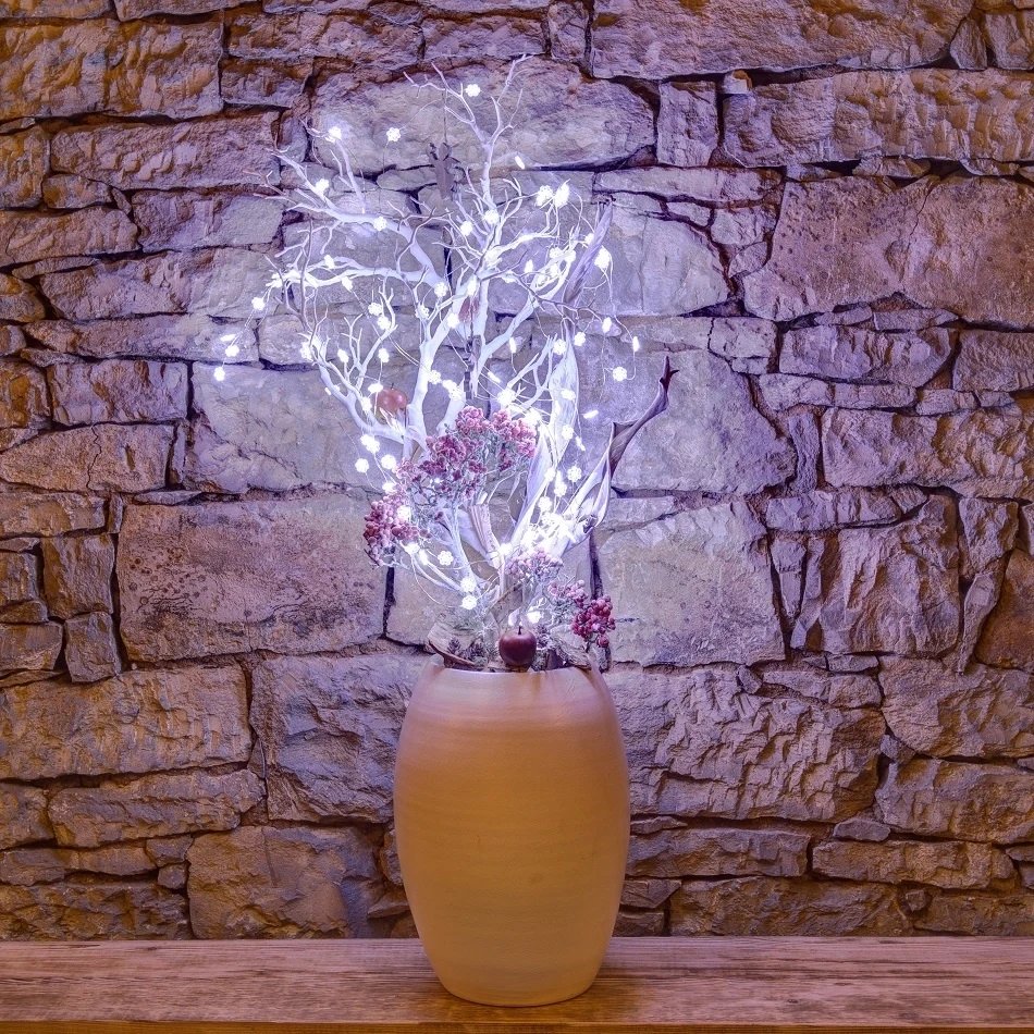 BL56_l