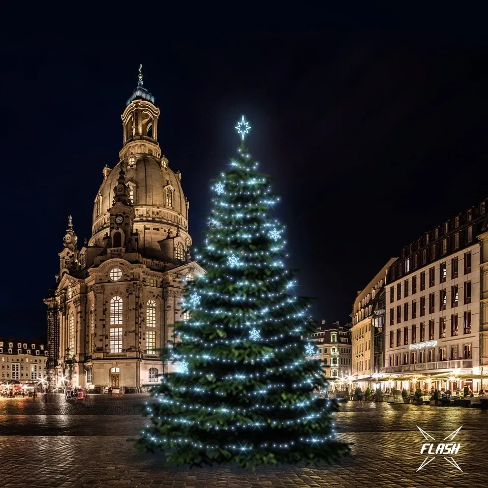 LED light set for Christmas trees 15-17 m high, Ice White with Flesh, decors DZX0EFD05