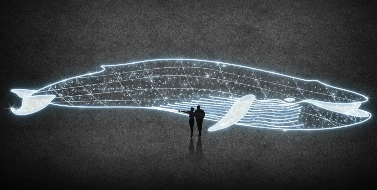2D LED light whale 1050 × 204 × 60 cm icy white