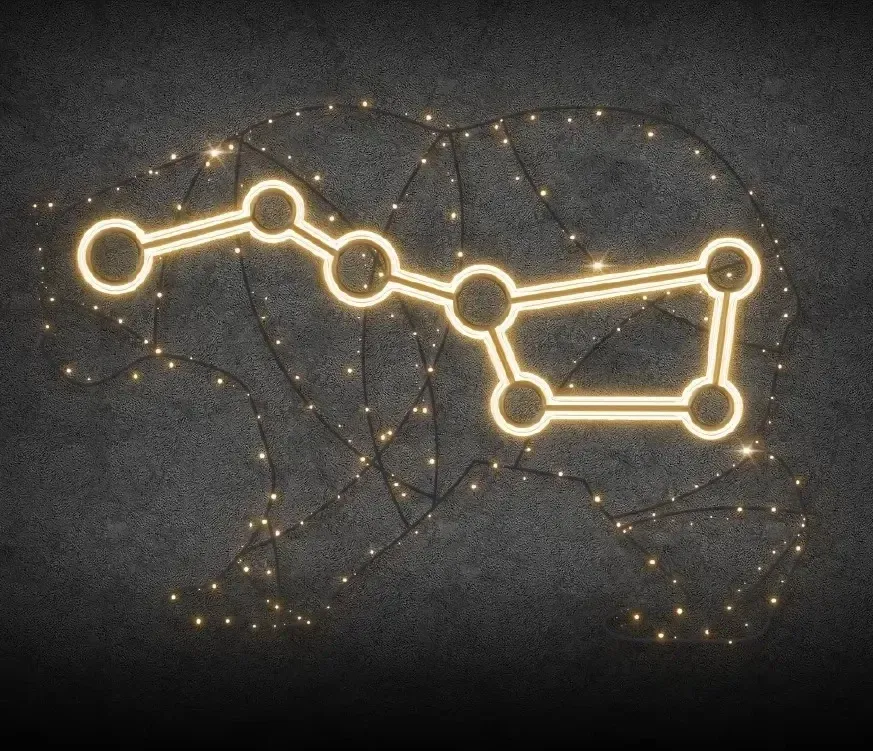 2D LED light constellation of a big bear, 300 × 210 cm, warm white, standing, 3D printed, aluminium