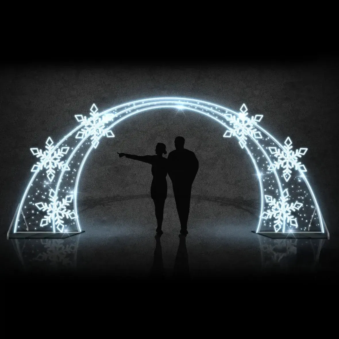Easy Fix 2D LED light gate 6 flakes DZ107, standing, 560 × 245 cm, ice white, aluminium