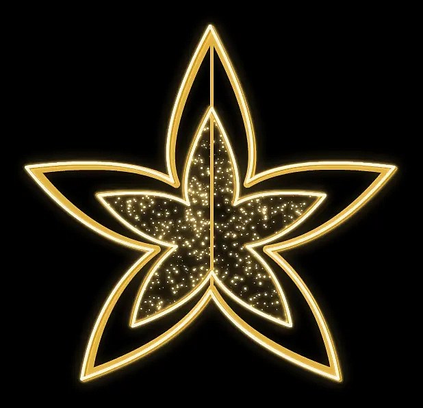 Easy Fix 3D LED star light, star anise I., Ø 250 cm, warm white, hanging, aluminium