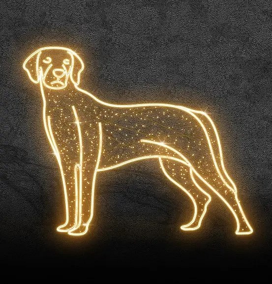 Eco Fix 2D LED light dog, Pointer, hanging, 120 × 100 × 3 cm, warm white, hanging, 3D printed, gold