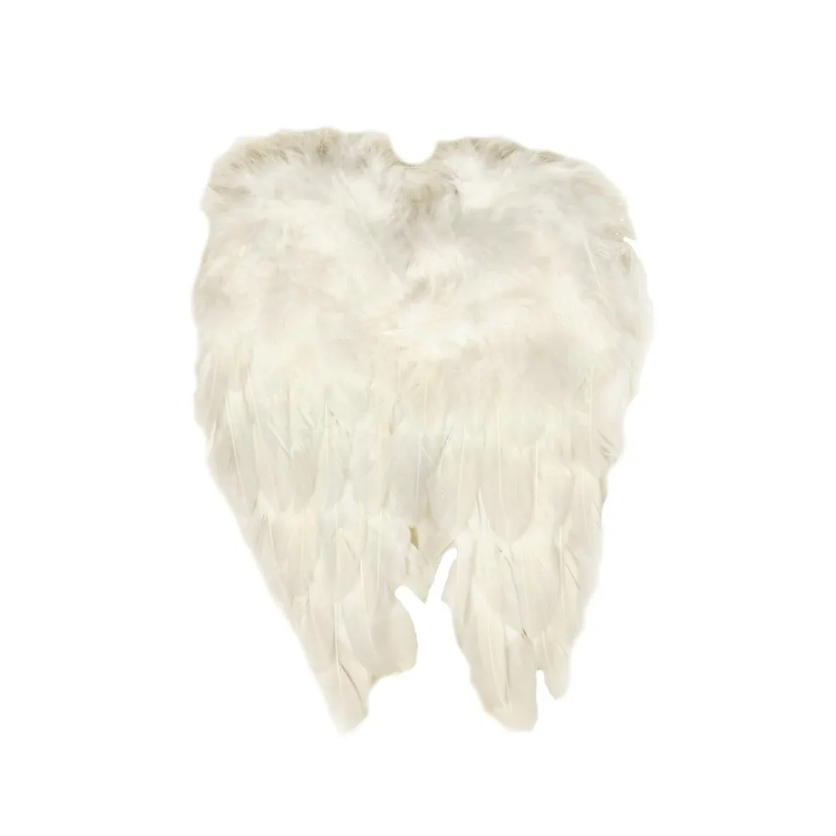 Angel wings 10 × 15 cm, white