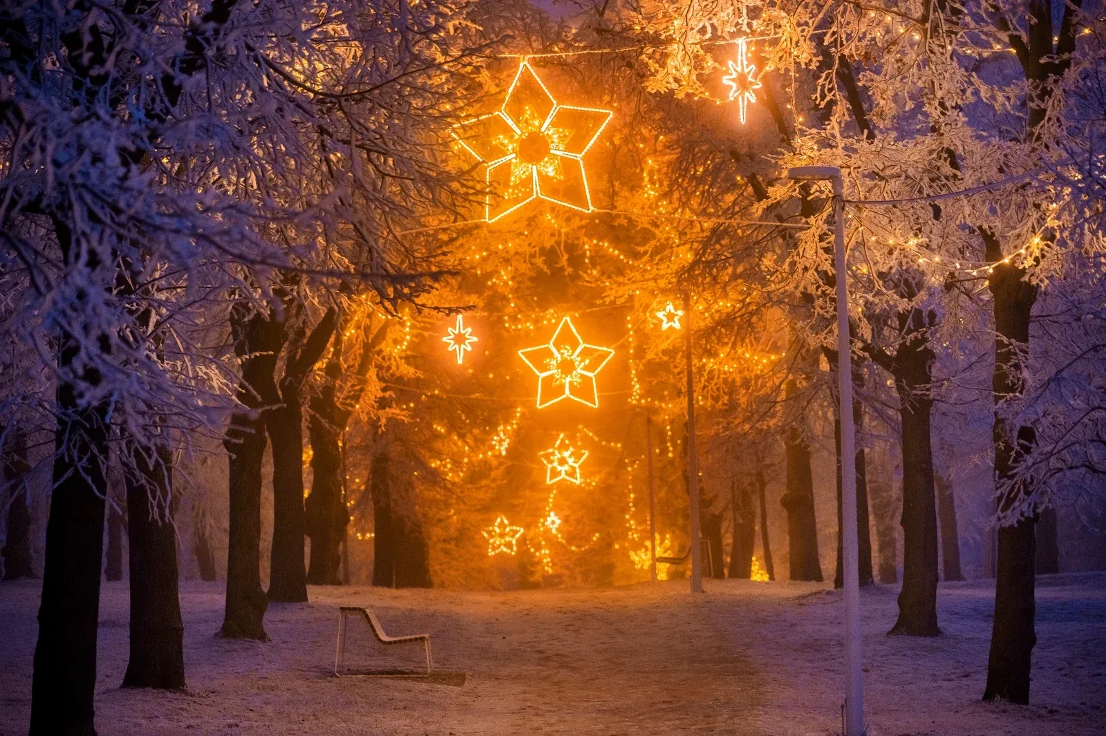 Christmas lighting for municipalities and towns 2026: 10 decorations we have in stock